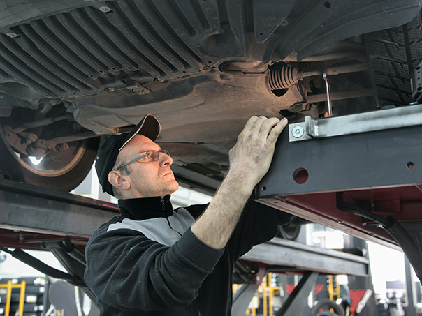 checking vehicle